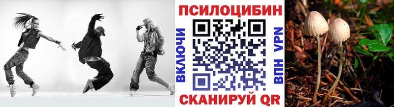 Купить закладки  Нефтекумск  Псилоцибиновые грибы прущие грибы 